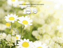 Tablet Screenshot of casasruralesmolinosdeduero.com